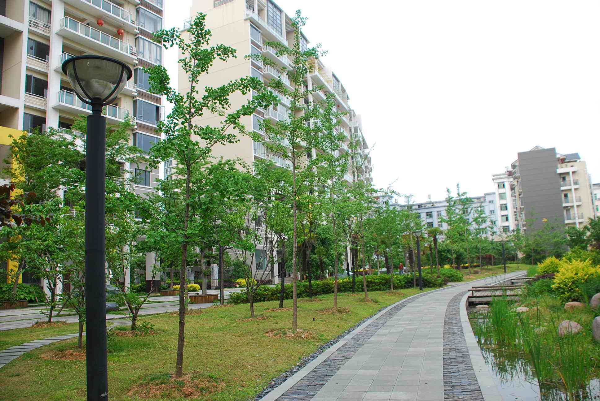 14079835671547_center_320_320